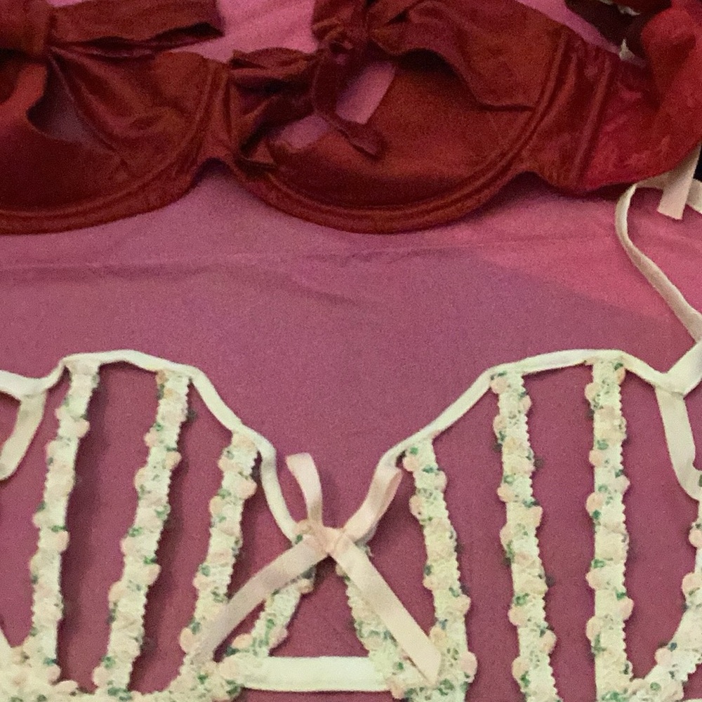 Elegant Red and White Lace Bra Set